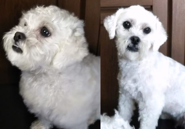 before after