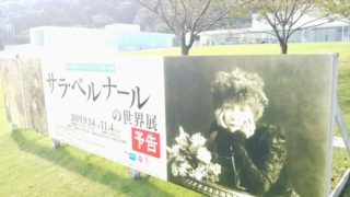 横須賀美術館サラ・ベルナールの世界展看板